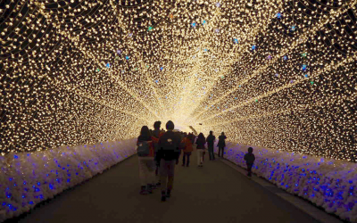 Nabana No Sato Winter Illumination in Japan